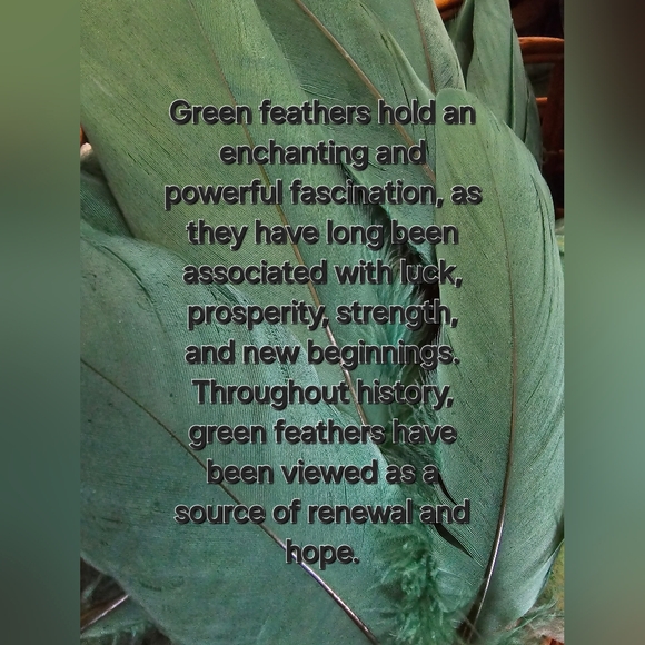 Like to follow - Picture 3 of 7